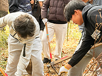 �A�����i